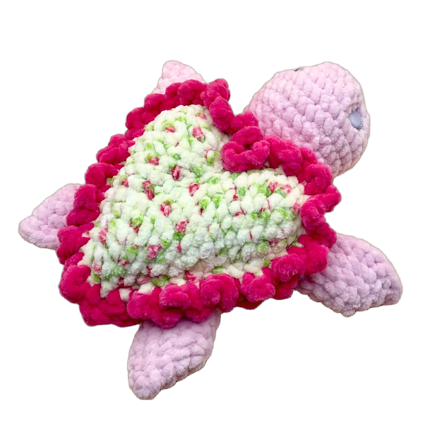Sweet Heart Turtle